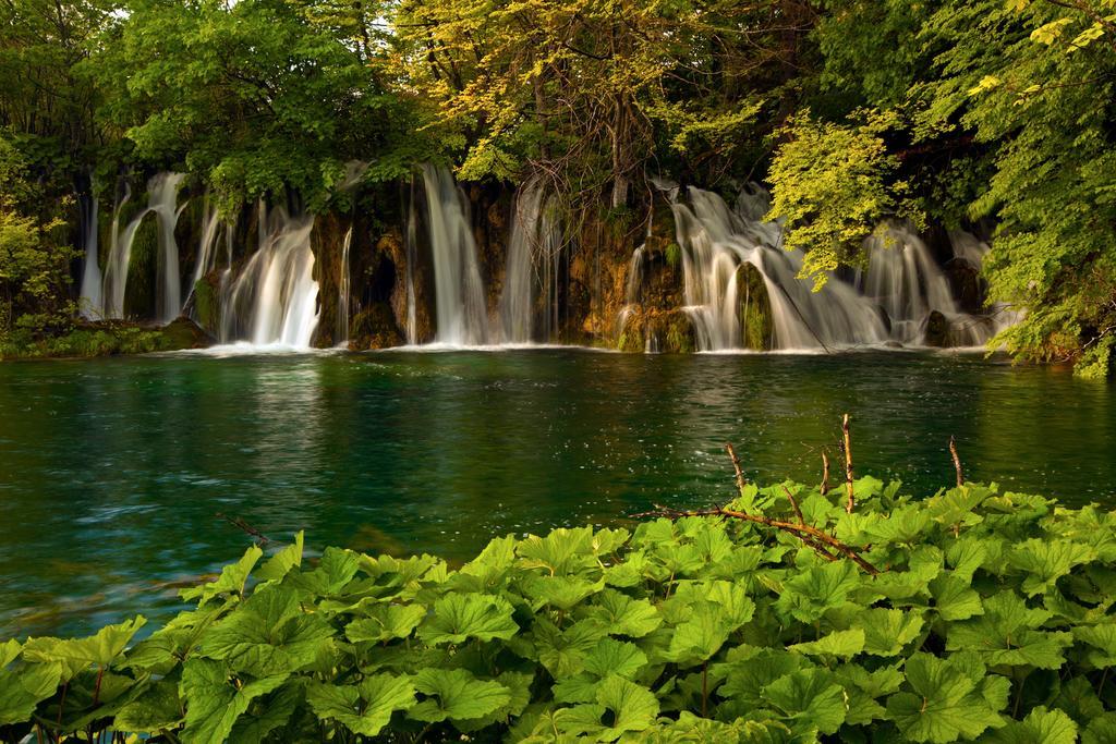 House Plitvice Villa Plitvička Jezera Oda fotoğraf